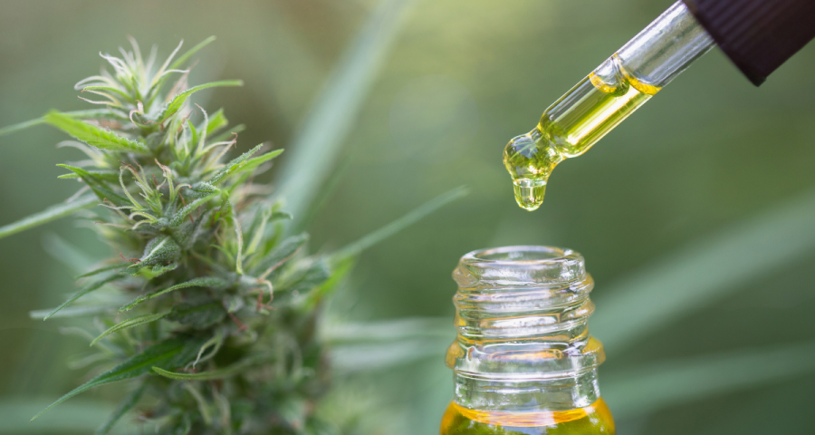 Ensuring Quality: Tips for Buying CBD Products Online